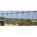 Diamond Mesh Fence - Safe and Charming Horse Fencing